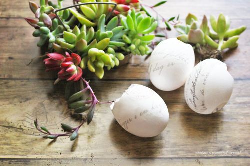 その他 卵の殻×お酢で虫除けを作る偉大なる果樹王国建設計画 おおげさ