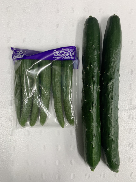 花丸胡瓜 宮城産株式会社 新紙浅