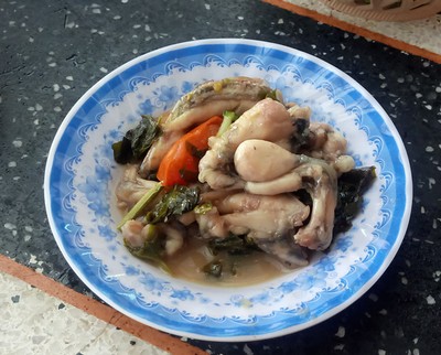 ギャラリー：欧州で人気、カエル料理の陰に「極めて残酷」な数百万匹の取引 写真7点ナショナルジオグラフィック日本版サイト