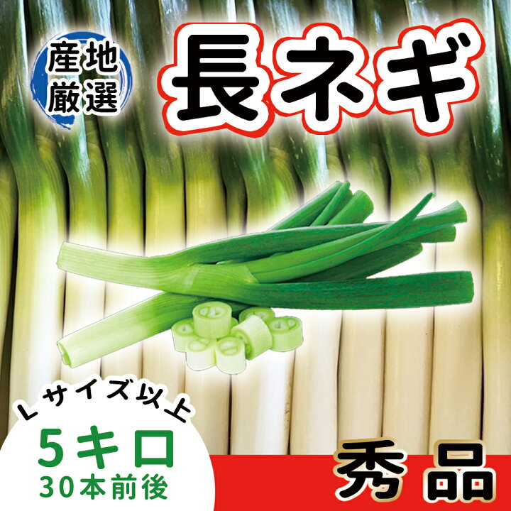 ネギの種類 焼き物から鍋物まで、料理で品種を使い分けよう！カゴメ株式会社
