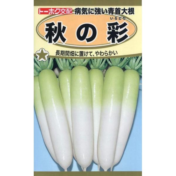 管理栄養士が解説 中身が黒い大根は食べても大丈夫？黒くなる原因と対処方法 - トクバイニュース