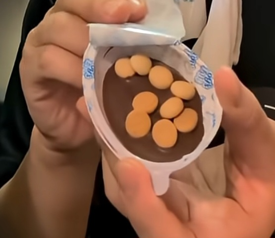 なぜガムとチョコを一緒に食べるとガムが溶けるのか〜油脂の化学反応が起こす驚きの現象折口詠人