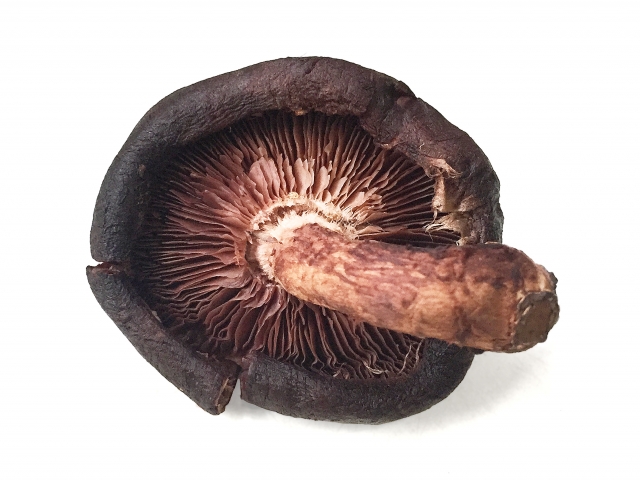 しいたけの中が茶色になる？食べれる判断基準と見分け方について紹介します！野菜 おすすめ