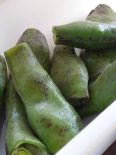 おいしいそら豆のゆで方 ゆで時間：白ごはん.com