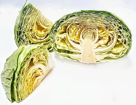 キャベツが苦いのはなぜ？食べて大丈夫なのか徹底解説！食の便り