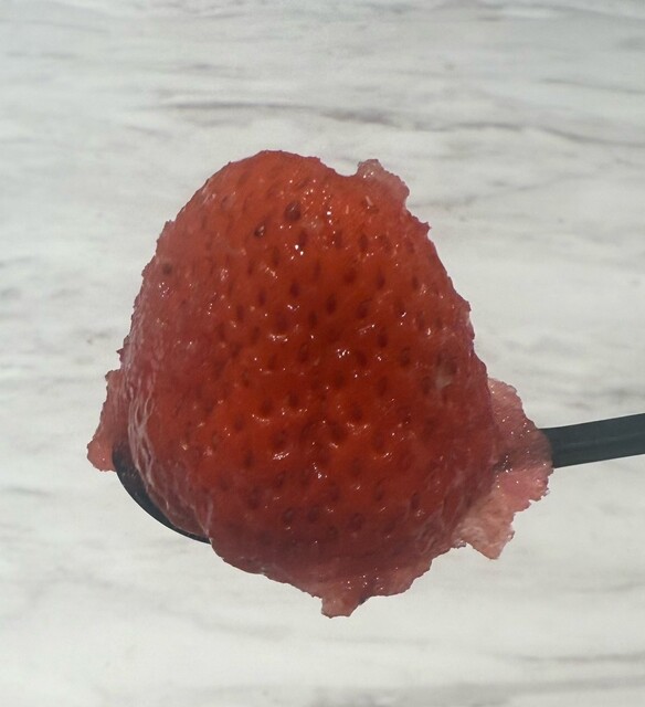 2025年度プラン♪ 最大8品種 40分間食べ放題！ ◎愛情込めていちごを育てています◎章姫・紅ほっぺ・おいCベリー・恋みのり・白いちご・はるひ・ほしうらら・よつぼし 高設栽培・車椅子OK白ゆりファーム- じゃらん遊び体験