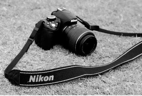 素朴なキッチンで英語のシャイアチーズとアイルランドのチーズとスパイスの写真素材・画像素材 Image 185512757