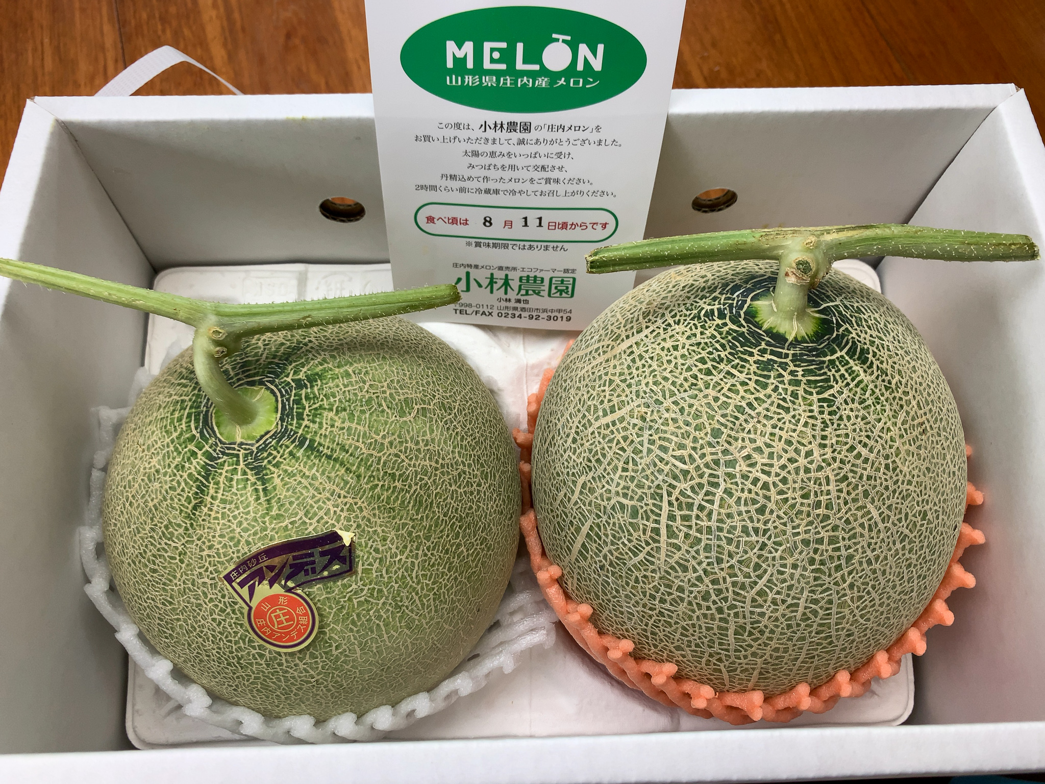 暮らすように旅する庄内「SHONAI Fun!」庄内砂丘メロン