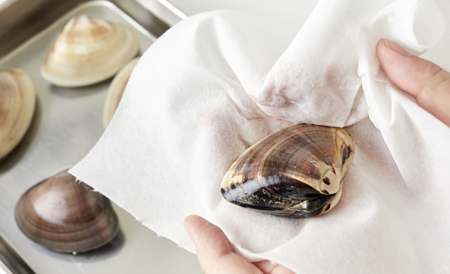 ハマグリの砂抜き - No: 23682088写真素材なら「写真AC」無料 フリー ダウンロードOK