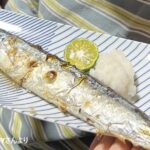 春雨とはどんな食材？ビーフンやしらたきの違いもご紹介デリッシュキッチン