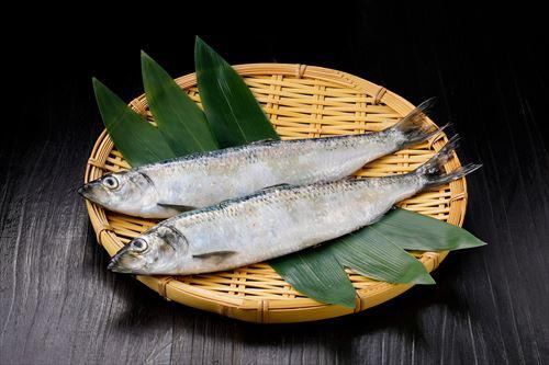 ニシン鰊 の特徴・生態、食べ方や旬、料理を徹底解説！とともん