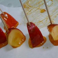 カリカリりんご飴レシピsister@bear