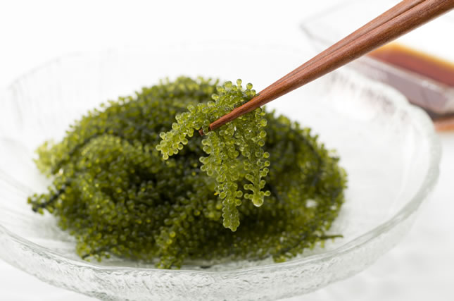 ぶどうの保存法 冷蔵で保存編味の農園