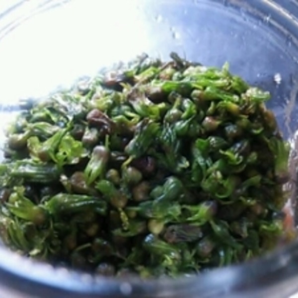 簡単に作れて手間いらず！ しその実の塩漬け