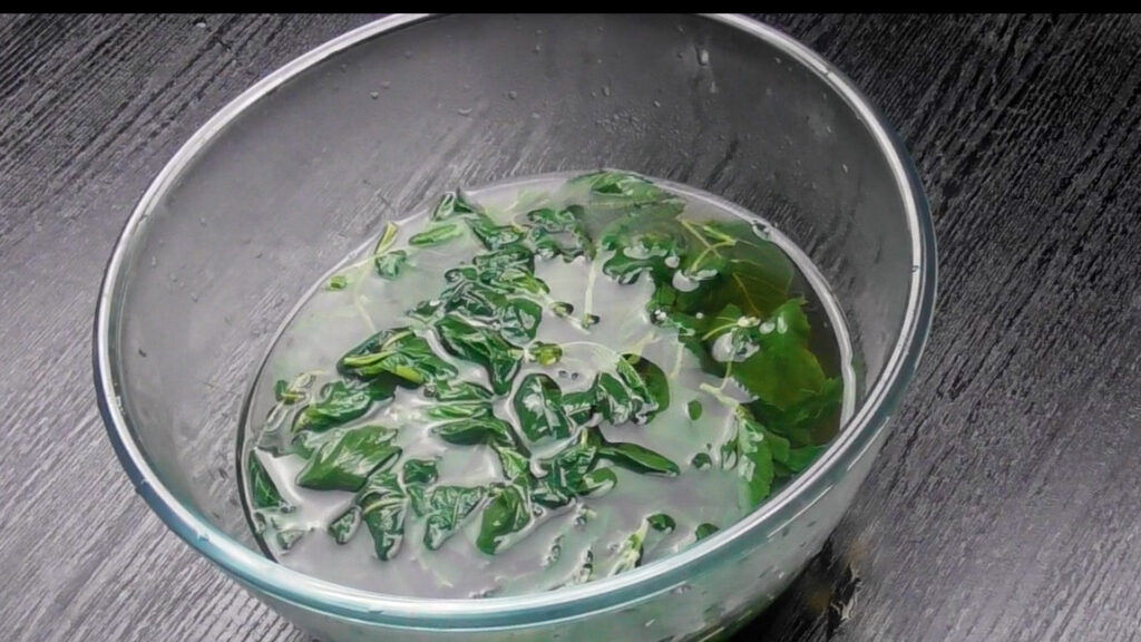 明日葉の茎の甘辛二重奏 Sweet and spicy duet of ashitaba angelica stemsKusamakura