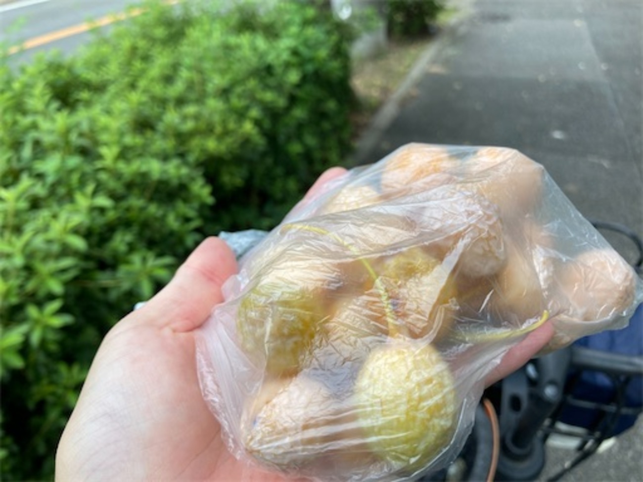 封筒に入れてレンジでチン☆銀杏の簡単な食べ方