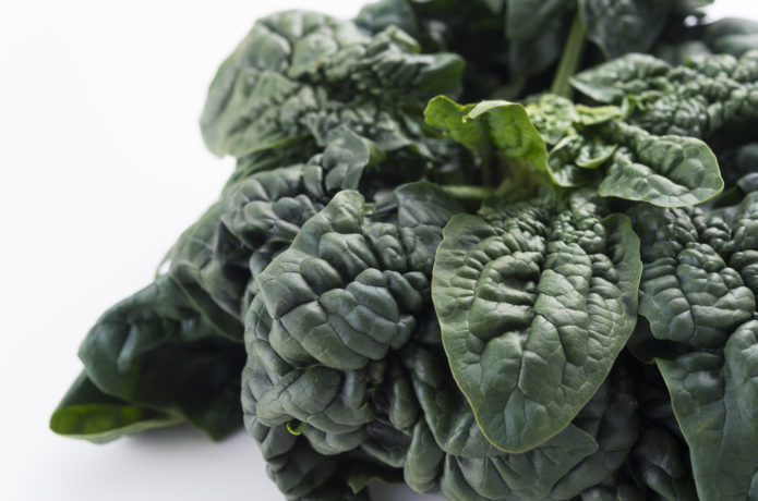 ちぢみほうれん草の育て方☆種まき 10月・11月暇人主婦の家庭菜園 - 楽天ブログ