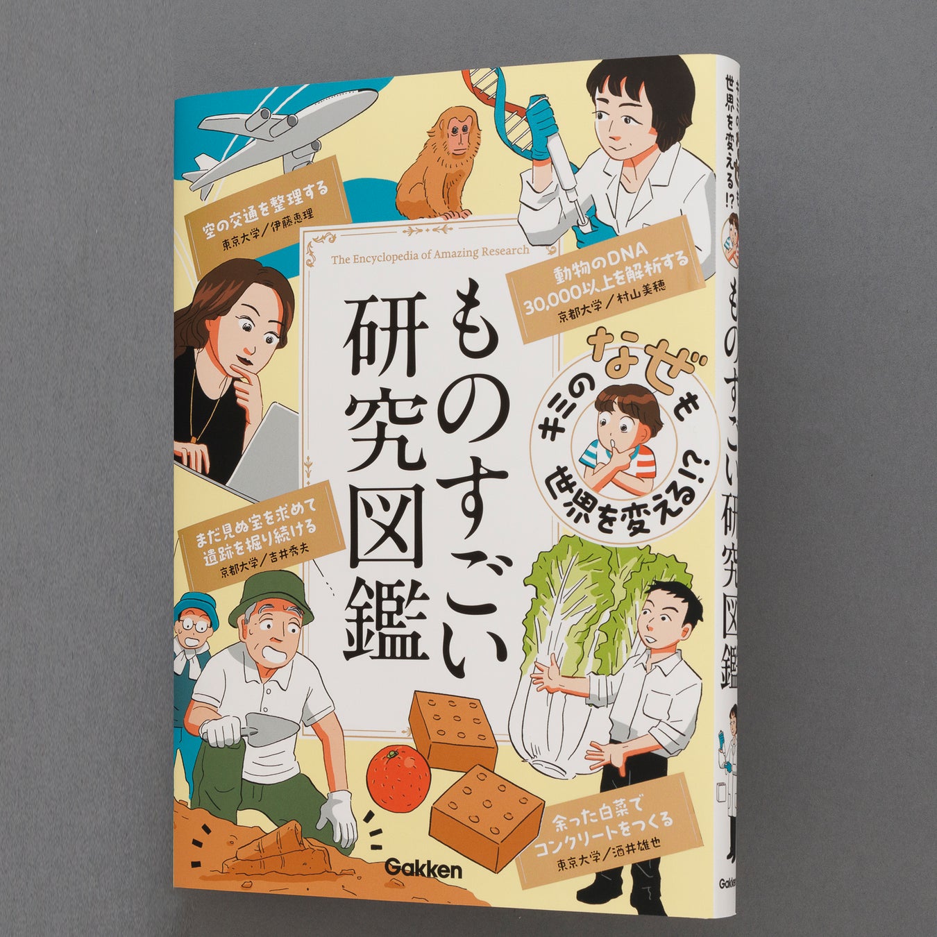 白菜は生で食べられる？気になる疑問を解決！デリッシュキッチン