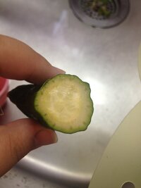 新鮮なキュウリのスライス鮮やかな緑さわやかな質感透明な断面星型の種子パターン水分補給野菜涼しくてさわやかな白い背景オーバーヘッドビューきれいな最小限の料理の材料健康的な食品の写真高解像度の詳細イラスト素材透過、PNGフリー画像ダウンロード - Pngtree