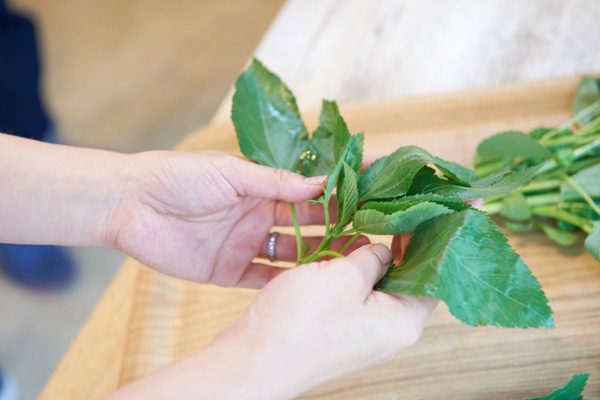 Amazon.co.jp: 有機モロヘイヤ 100ｇ前後×5袋 無農薬栽培 : 食品・飲料・お酒