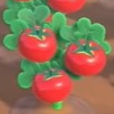 あつ森 野菜の苗を揃える方法 オフライン・一人ぼっちでも揃う？しゅみふる