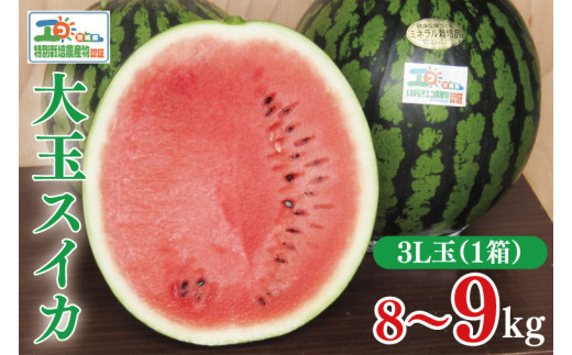 大玉スイカの写真素材写真素材なら「写真AC」無料 フリー ダウンロードOK