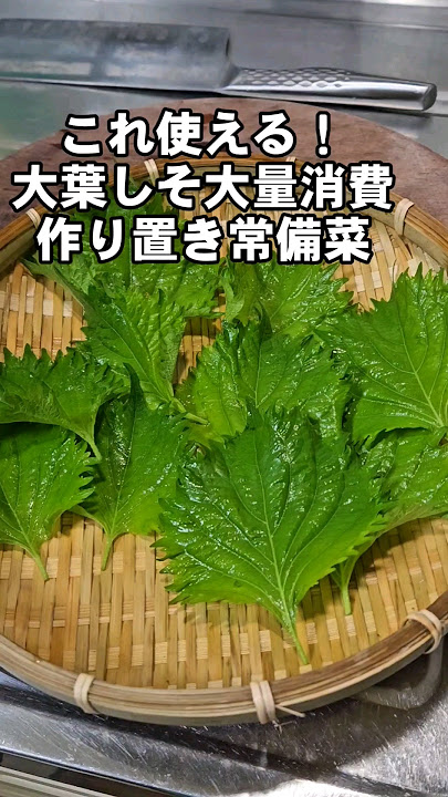 クックパッドニュース：一気に大量消費！「大葉」のカリカリおかずがやみつきのウマさ毎日新聞