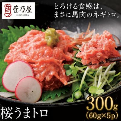 dポイントマーケットフジチク ふじ馬刺し 人気3種セット 馬肉 熊本名物 馬刺し 桜肉 赤身 ネギトロ 馬刺し ユッケ 肉 馬刺おつまみdショッピング
