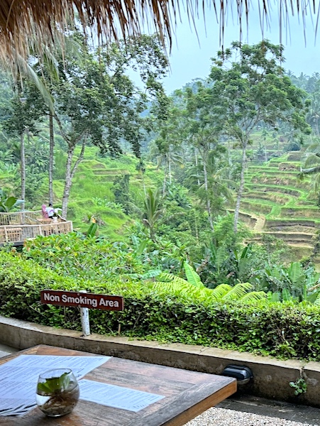 ガゼボに座って棚田を眺めながら食事できるアロン・アロン・テラス・カフェチェックインバリ