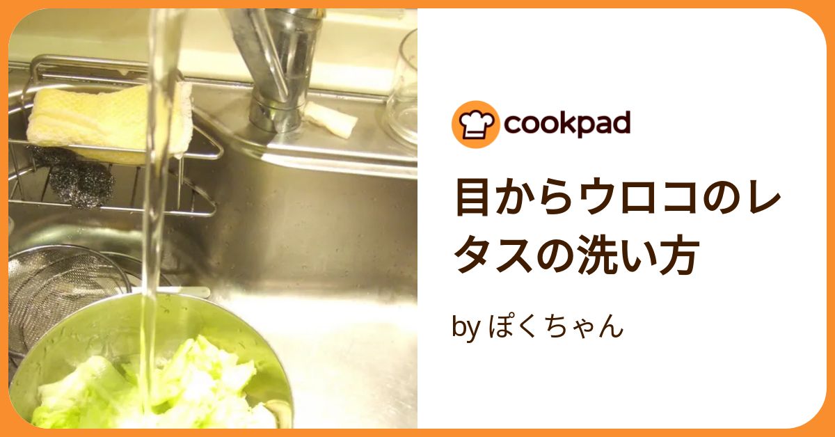 おいしさもアップ！しなびたレタスをシャキシャキにするたった一つの方法 - macaroni