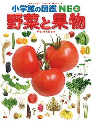 野菜と果物の違いとは？栄養成分についても解説！デリッシュキッチン