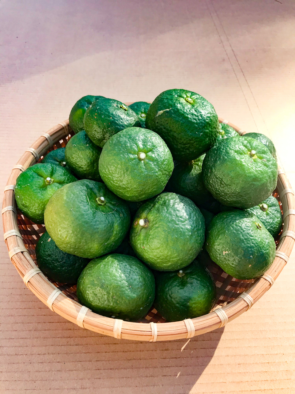 不思議な沖縄の柑橘類。Okinawa通信 ⇒ 伊都国つうしん