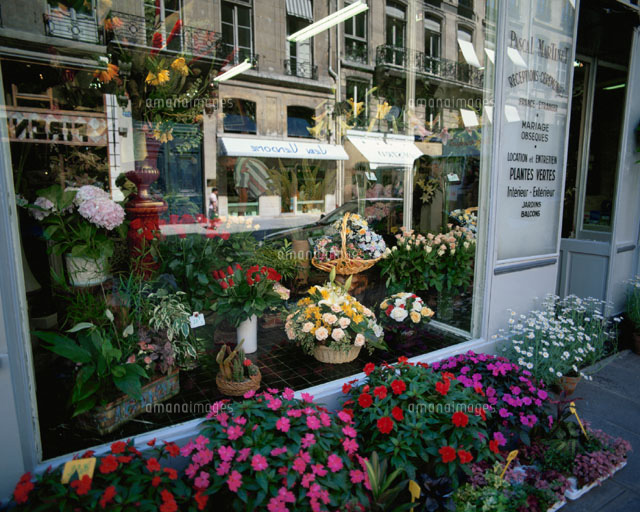 花屋の店先 パリ フランス 01721002379 の写真・イラスト素材アマナイメージズ