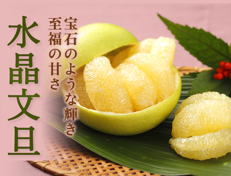 楽天市場 水晶文旦 約3kg 送料無料 光センサー選果 ご家庭用 5〜8玉入 高知産 文旦 すいしょうぶんたん ぶんたん 晩白柚 マーマレードクリスタル 糖度 酸度 ギフト プレゼント フルーツ お歳暮 : アグリファーム高知