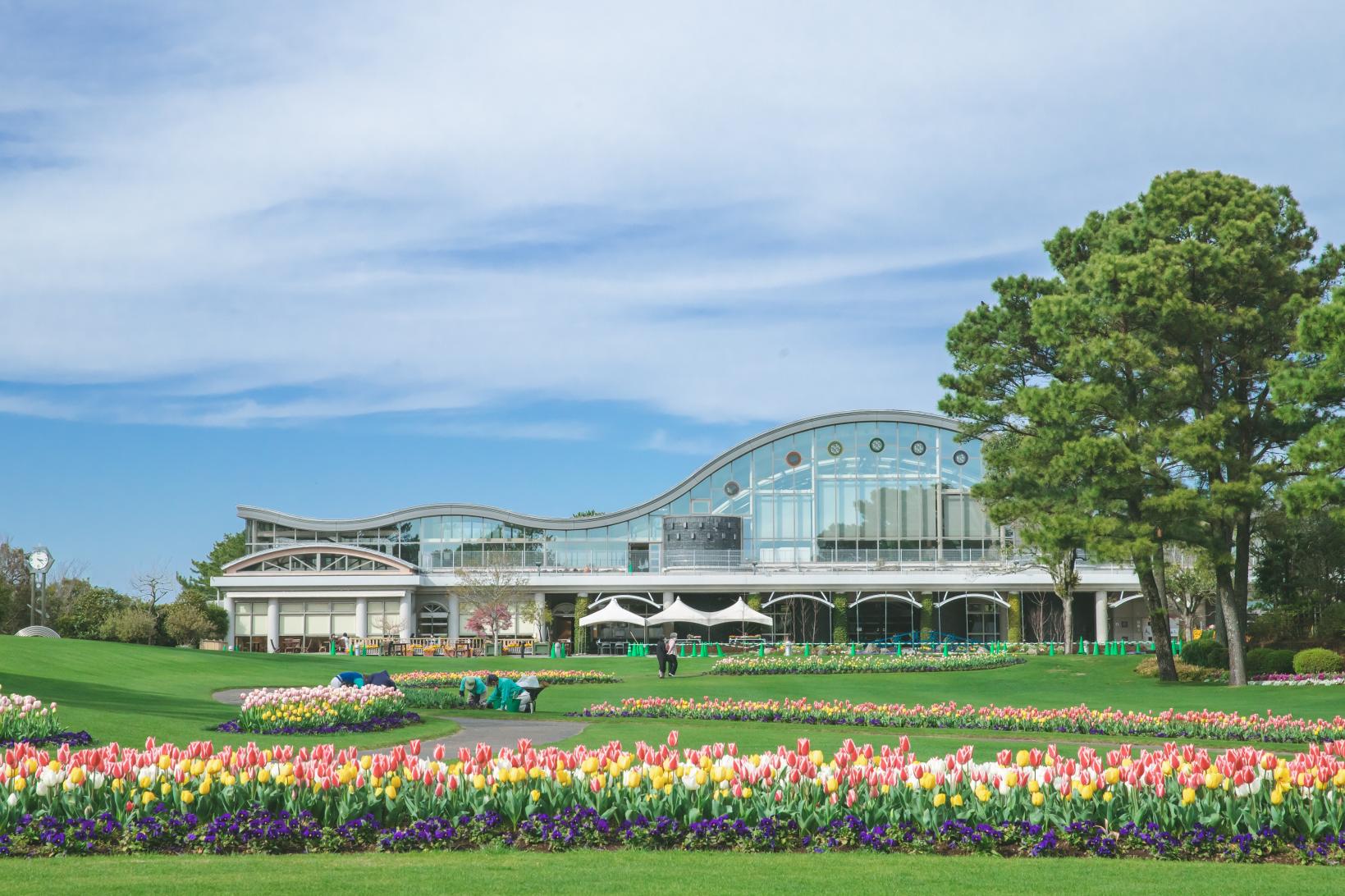 公式 フローランテ宮崎 on X: 