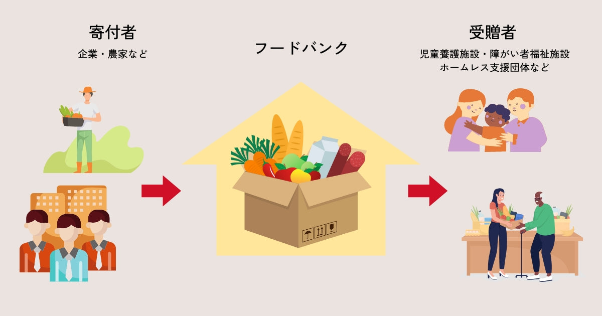 レンジフードとは？換気扇との違いや種類やパーツ、選び方のポイント解説
