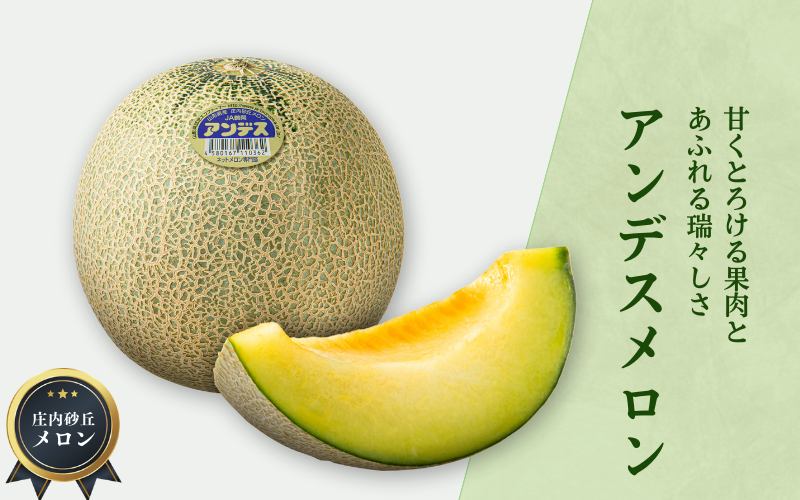 庄内地方夏の風物詩 庄内砂丘メロン写真と文章で綴る山形紀行