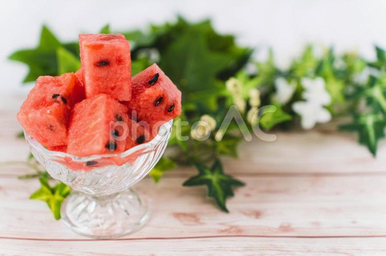 カットフルーツイベント✨ 7月6日 土 ・7日 日 の2日間🍉 渋谷店・二子玉川店で「スイカフィーバー」フェア開催します🍉写真は本日の渋谷店の様子です🍉！ 大きな口を開けたスイカイジュウ！ 可愛らしいと好評です✨ スイカフィーバー🍉フェアは は明日までの期間限定