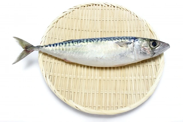保存版 青魚・白身魚・赤身魚の違いとは？味・栄養・保存性を徹底比較
