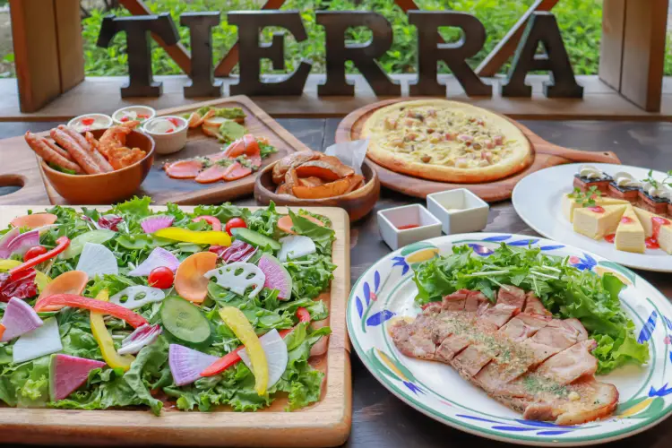 おやさいガーデンTIERRA@oyasai_tierra831• Instagram photos and videos