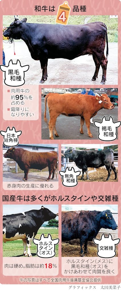 幻の相州黒毛和牛霜降り焼肉用 - 相州牛推進協議会南足柄産ブランド牛「相州牛・相州和牛」公式サイト
