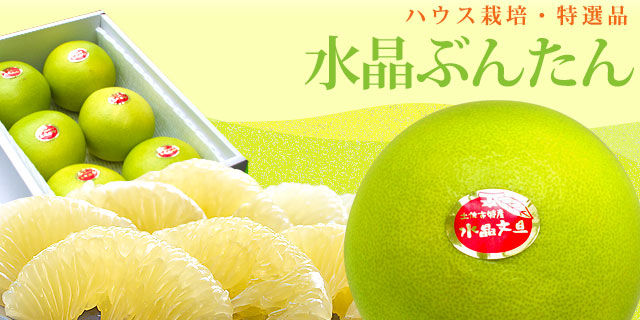 水晶文旦と山北満天みかんのフルーツセット・S