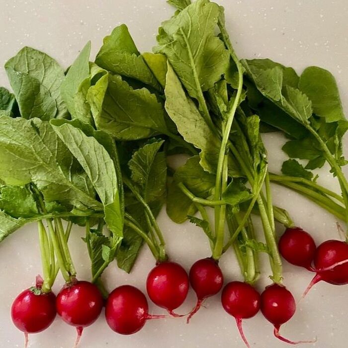 葉っぱは食べられる？ ラディッシュの保存法やレシピLOVEGREEN ラブグリーン
