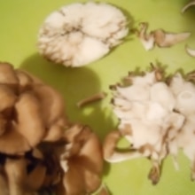 プロが解説 軸は捨てない洗わない！ 種類別きのこの美味しい食べ方・下処理 軸と石づきの違い三越伊勢丹の食メディアFOODIE フーディー