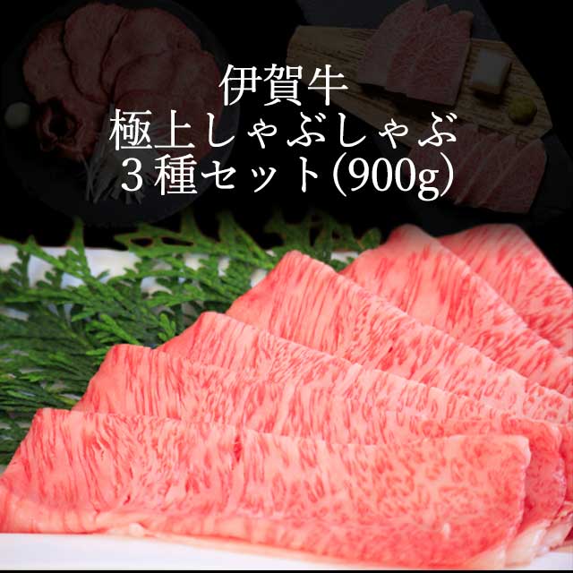 鳥取和牛 希少部位ステーキ 「 ミスジ 」100g ~ 300g国産 牛肉 和牛 みすじ 希少 ミスジ 鳥取和牛 黒毛和牛 肉 霜降り ブランド 牛 最高級部位 鳥取県 倉吉市 - 鳥取県倉吉市ふるさとチョイス - ふるさと納税サイト