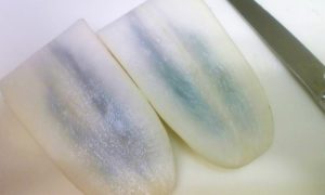 大根が苦い原因は？苦味を抑える方法とリメイクするレシピを紹介！たべコラ