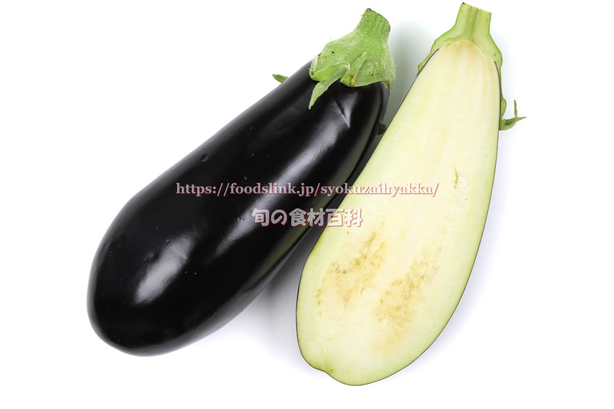 宮崎 伝統野菜 佐土原なすapcompany