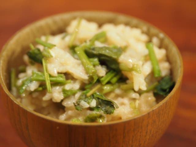 冷凍ブルズごはん 鶏とおダシの雑炊風のCUBEペット用品・ペットフードの卸専門サイト「モリシタ 卸ドットネット」