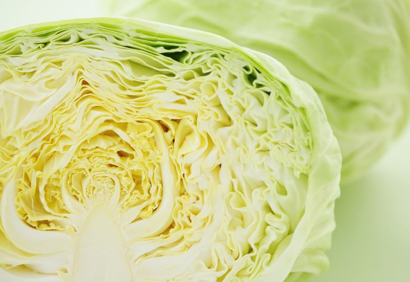 キャベツが腐るのを防ぐ方法と見分け方！腐ったキャベツを食べたらどうなる？ : Effective's Blog
