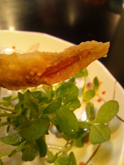 ウーパールーパーの唐揚げが食べれる店2選！味はどう？素揚げや刺身も - 日本 - どこいく国内・海外旅行のおすすめ情報メディア